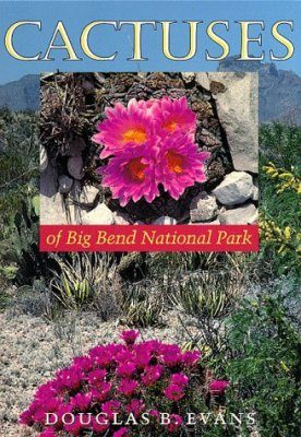 Cactuses of Big Bend National Park