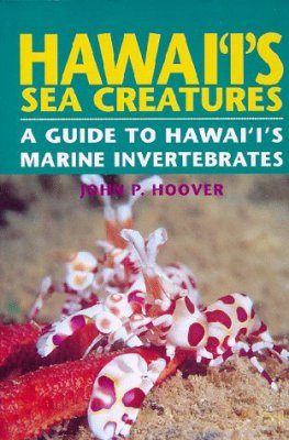 Hawai'i's Sea Creatures