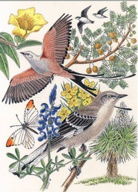 Heralds of Spring in Texas