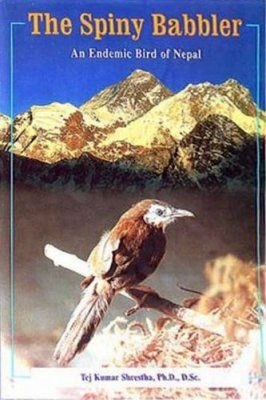 The Spiny Babbler