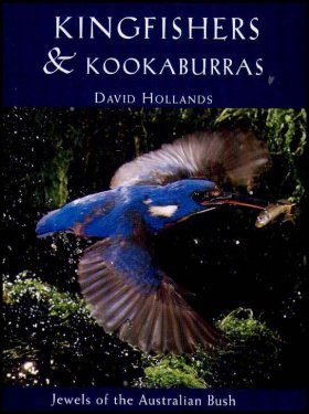 Kingfishers and Kookaburras