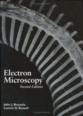 Electron Microscopy