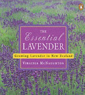 The Essential Lavender
