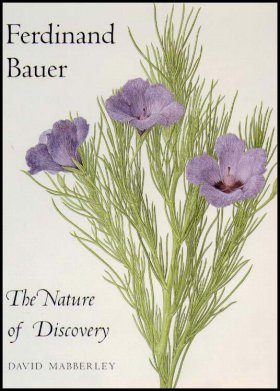 Ferdinand Bauer