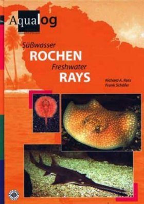Freshwater Stingrays