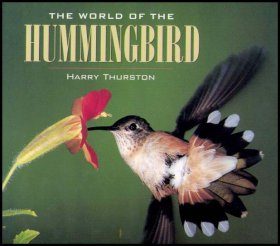 The World of the Hummingbird