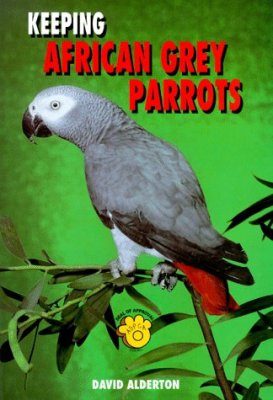 Keeping African Grey Parrots