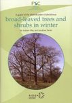 A Guide to the Identification of Deciduous Broad-Leaved Trees and Shrubs in Winter
