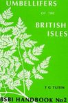 Umbellifers of the British Isles