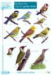 Guide to the 'Top 50' Garden Birds