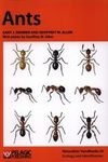 Ants