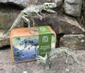Dinosaur Excavation In A Tin
