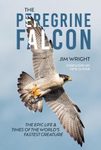 The Peregrine Falcon