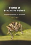 Beetles of Britain and Ireland, Volume 4