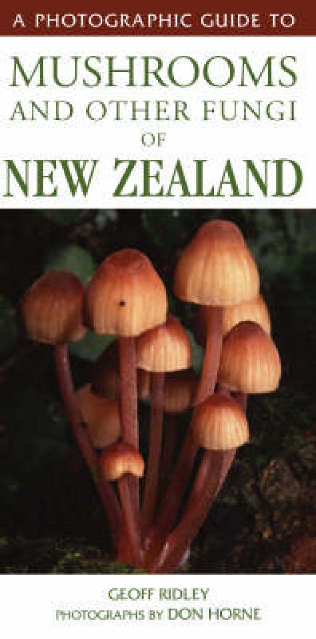 A Photographic Guide To Mushrooms And Other Fungi Of New Zealand Nhbs