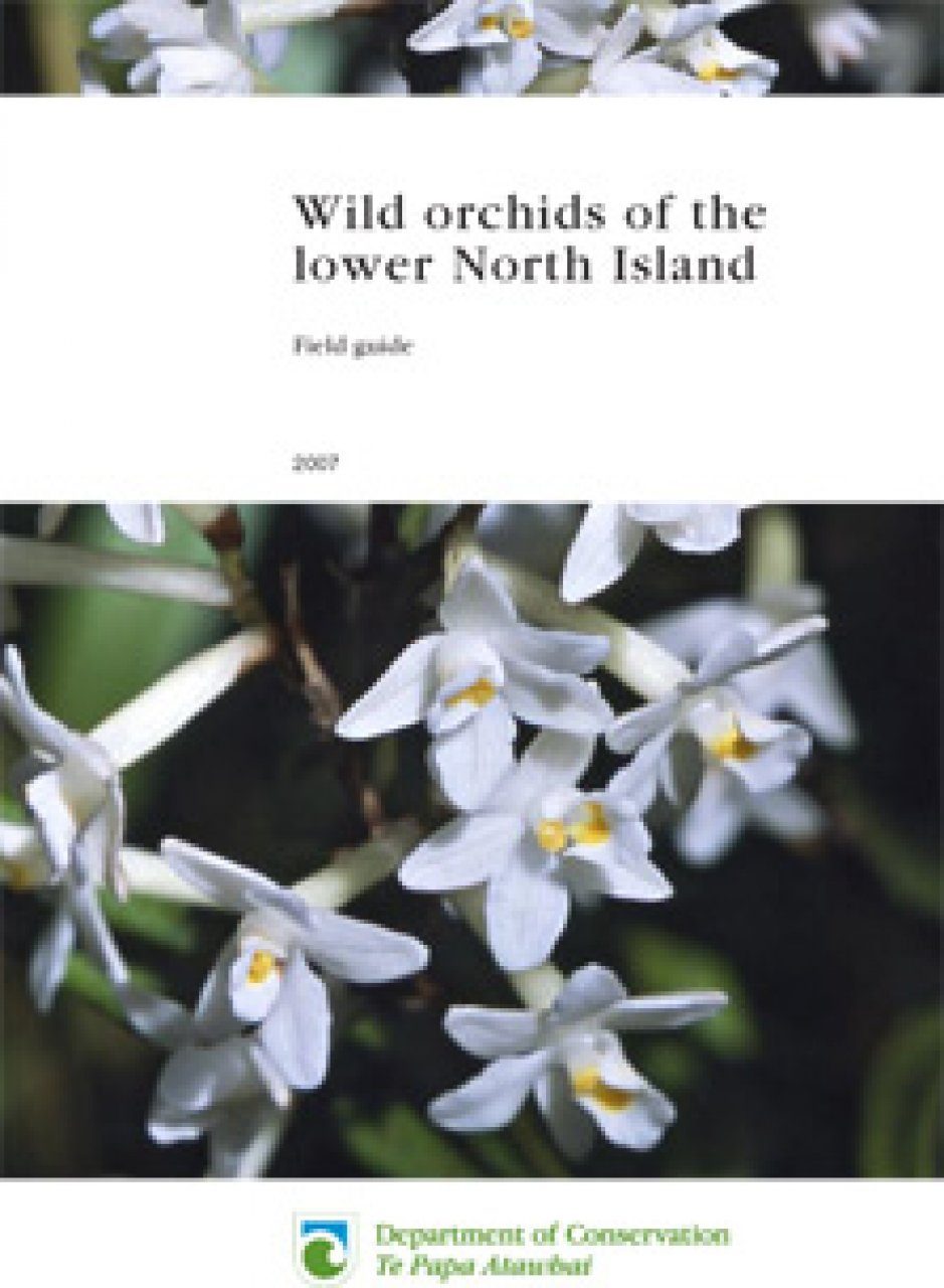 Wild Orchids Of The Lower North Island Field Guide Nhbs Field Guides