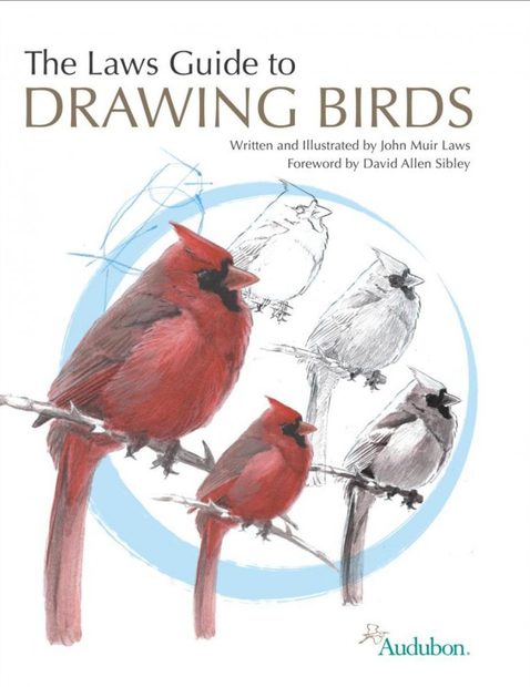 The Laws Guide to Drawing Birds The Laws Guide to Drawing Birds
