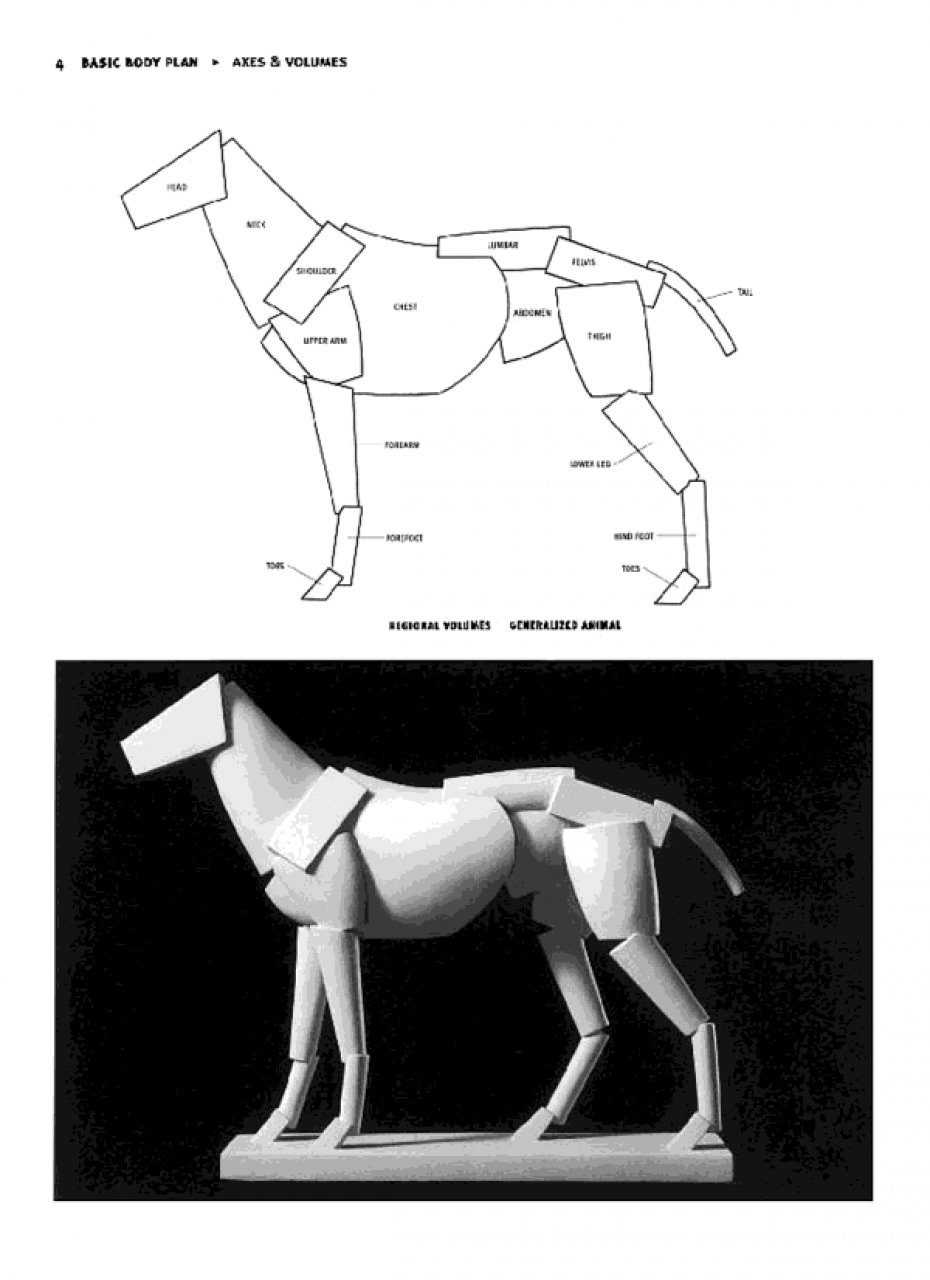 Animal Anatomy for Artists: The Elements of Form: Eliot ...