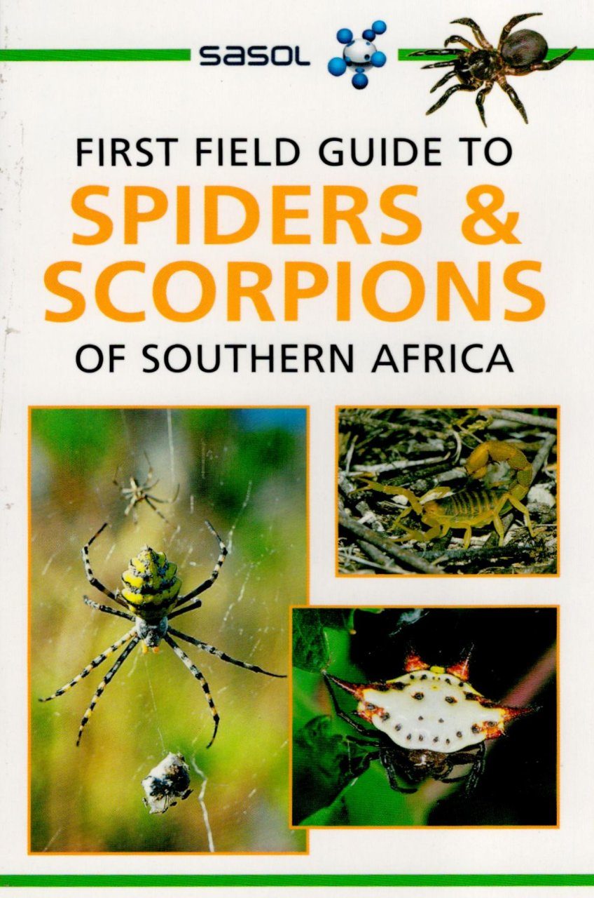 First Field Guide To Spiders Scorpions Of Southern Africa Nhbs