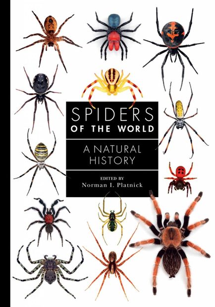 Spiders of the World