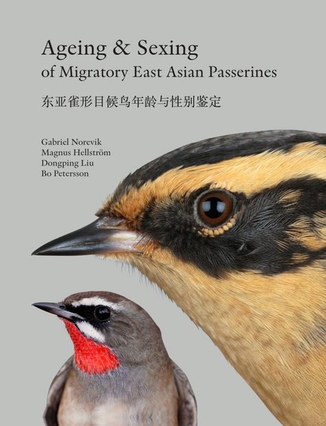 Ageing & Sexing of Migratory East Asian Passerines [English / Chinese]