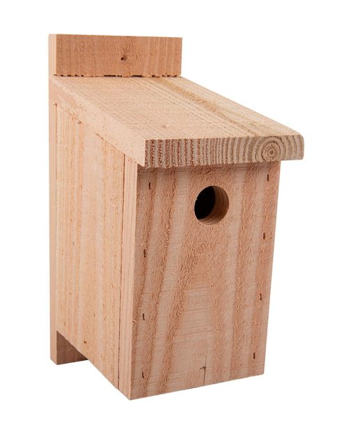 NHBS Wooden Bird Nest Box