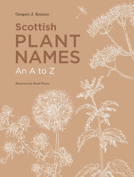 Scottish Plant Names
