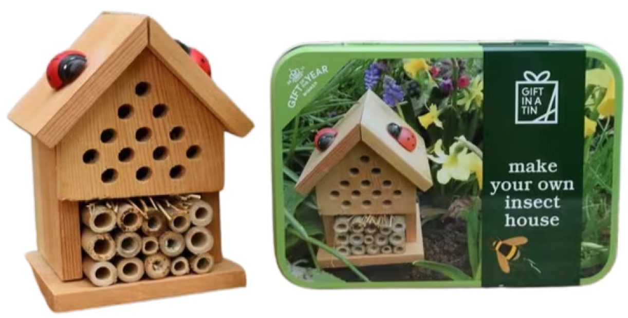 Build Your Own Insect House Build Your Own Insect House