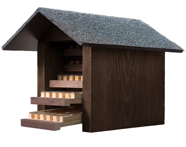 Observation Bee Hotel