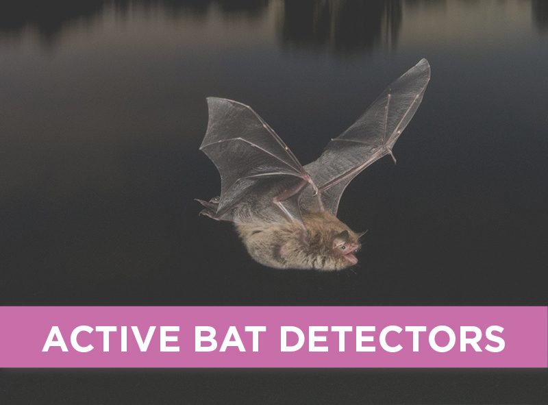 Active Bat Detectors
