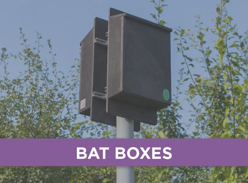 Bat Boxes