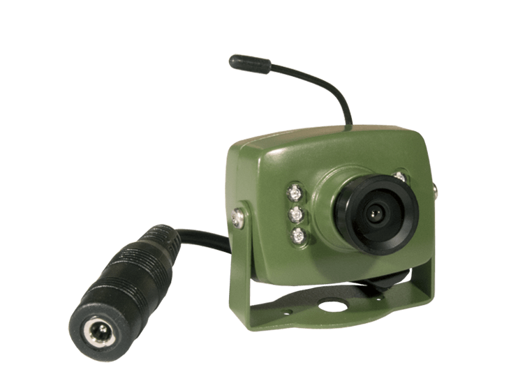 British Wildlife | The magazine for the modern naturalist