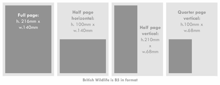British Wildlife Advertisement Sizes