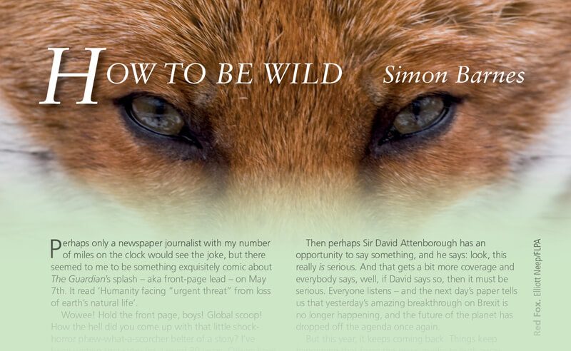 How to be wild