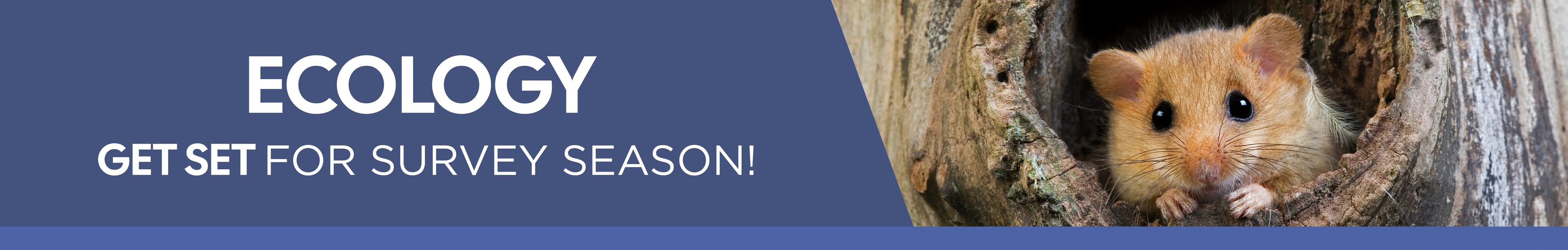 Ecology promo banner