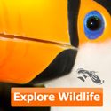 NHBS | Everything for wildlife, science &amp; environment