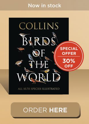 collins birds of the world arlott book side v4