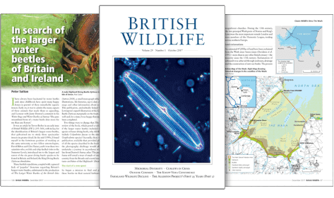 weather to travel climate guides British Wildlife