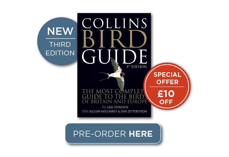 Collins Bird Guide (New Edition)