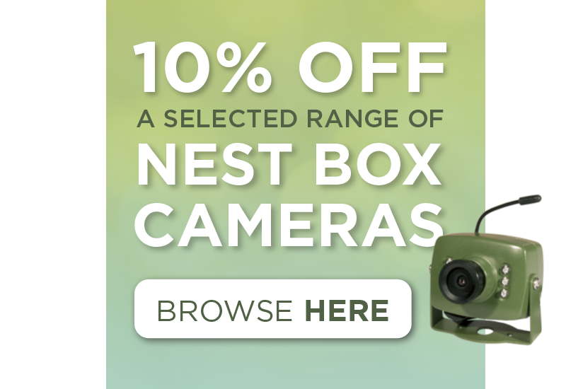 10% Off a Selected Range of Nest Box Cameras