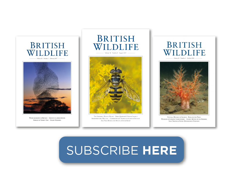 British Wildlife Subscription
