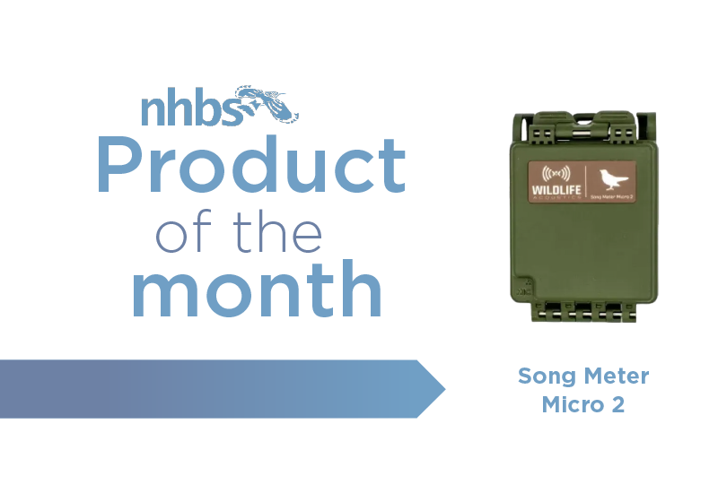 Product of the Month