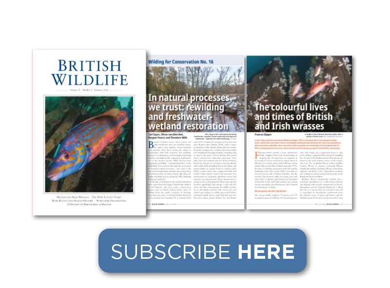 British Wildlife Subscriptions