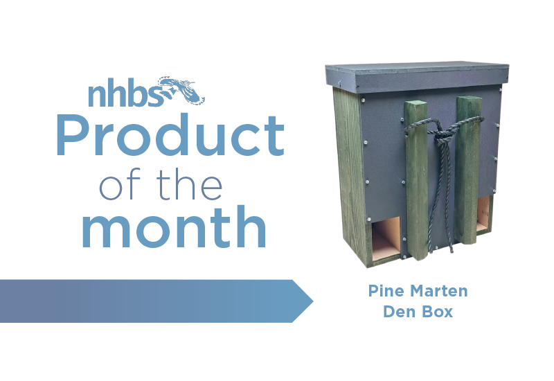 Product of the Month