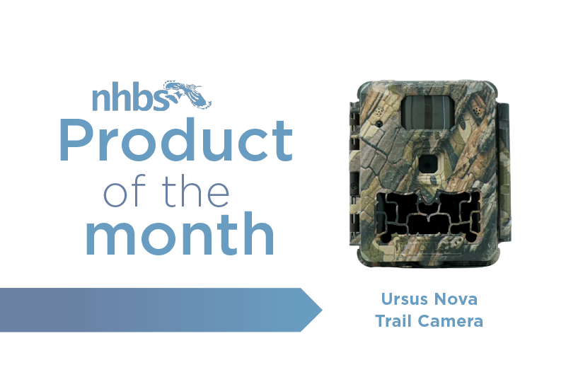 Product of the Month