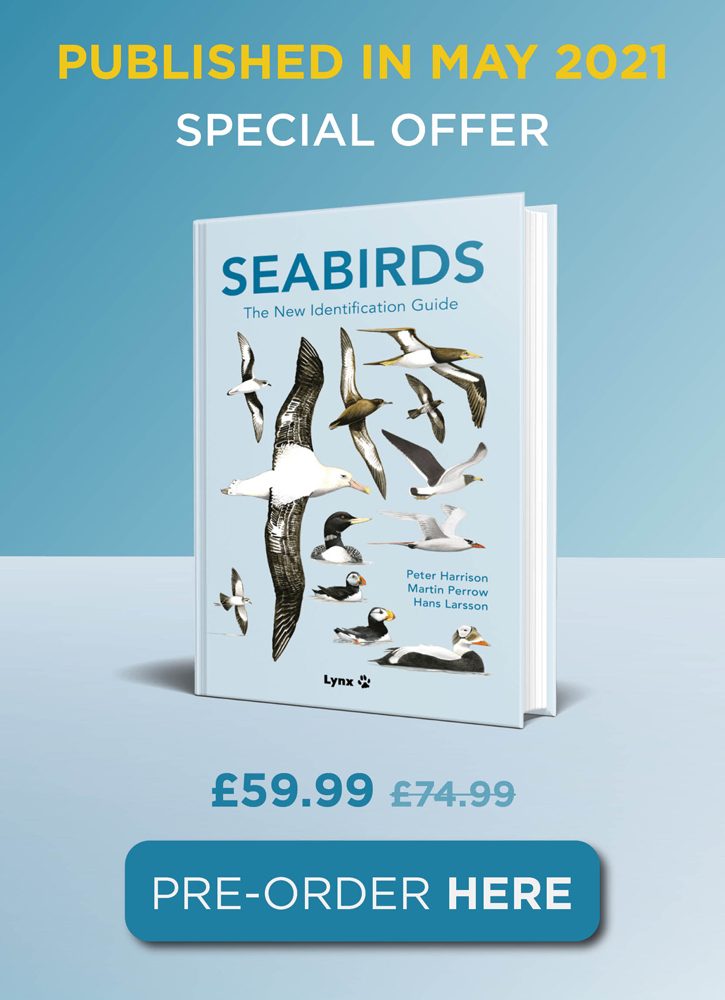 Seabirds The New Identification Guide