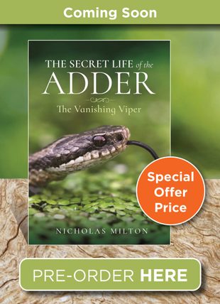 The Secret Life of the Adder