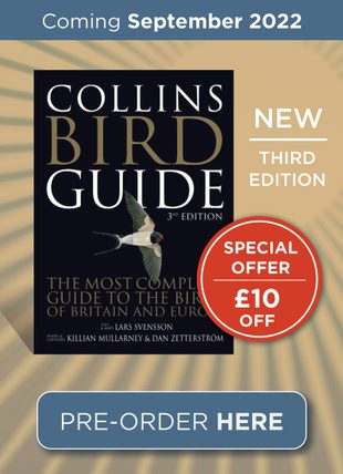 Collins Bird Guide (New Edition)