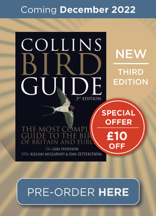 Collins Bird Guide (New Edition)