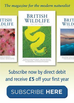 British Wildlife Magazine